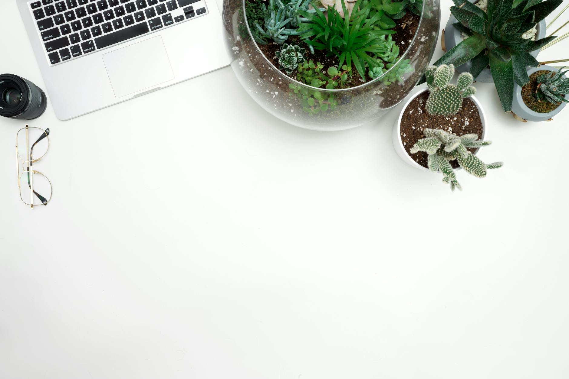 Why Your Local Business Isn't Ranking on Google (And How to Fix It)