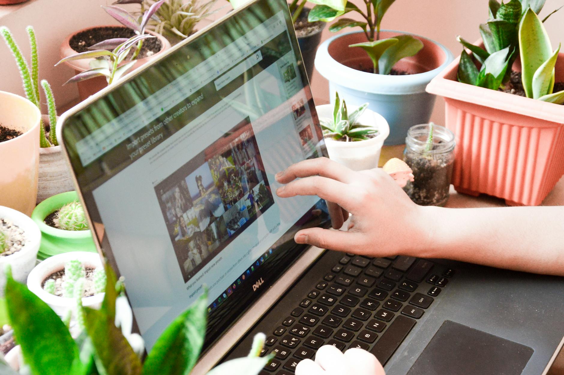 Website Optimization: Learn WordPress the Right Way for SEO