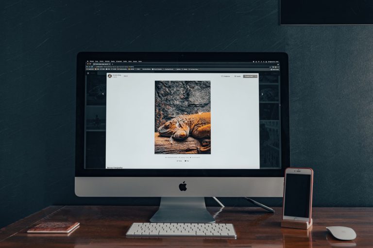 Local SEO Strategies for Small Businesses: A Practical Guide